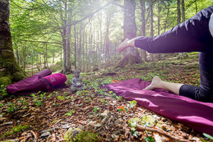 séance yoga dans les bois