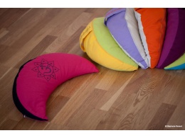 coussin-croissant-bicolore-brode