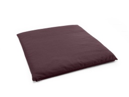 aubergine