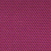 Couleur fushia