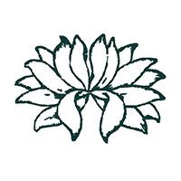 motif de broderie lotus